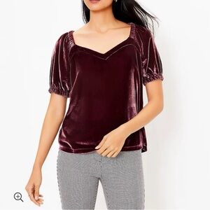 LOFT Elegant Sweetheart Neck Velvet Puff Sleeve Top
